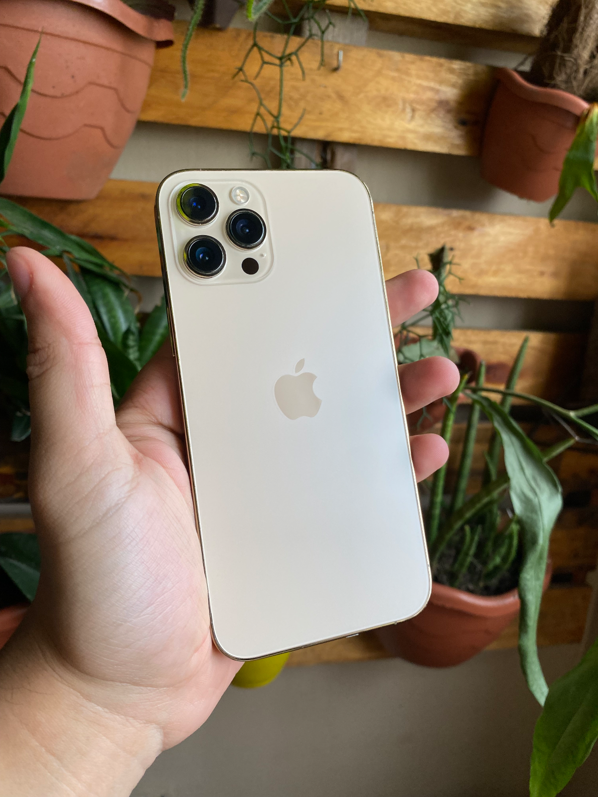 iphone 13 Pro 128GB na cor Azul